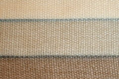 a19