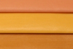 a9
