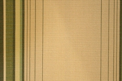 orchestra_8945