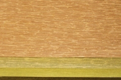 1_nitidus_e5
