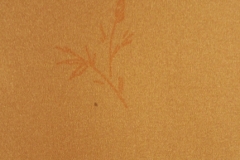 B407_2